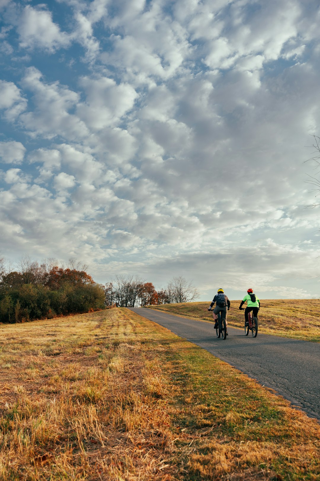 a-couple-of-people-riding-bikes-down-a-road-nljltfq1ey8