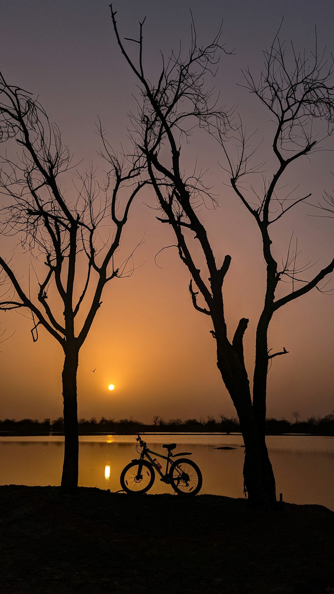 a-person-standing-next-to-a-bicycle-by-a-tree-and-a-body-of-water-arfjg60jp3g