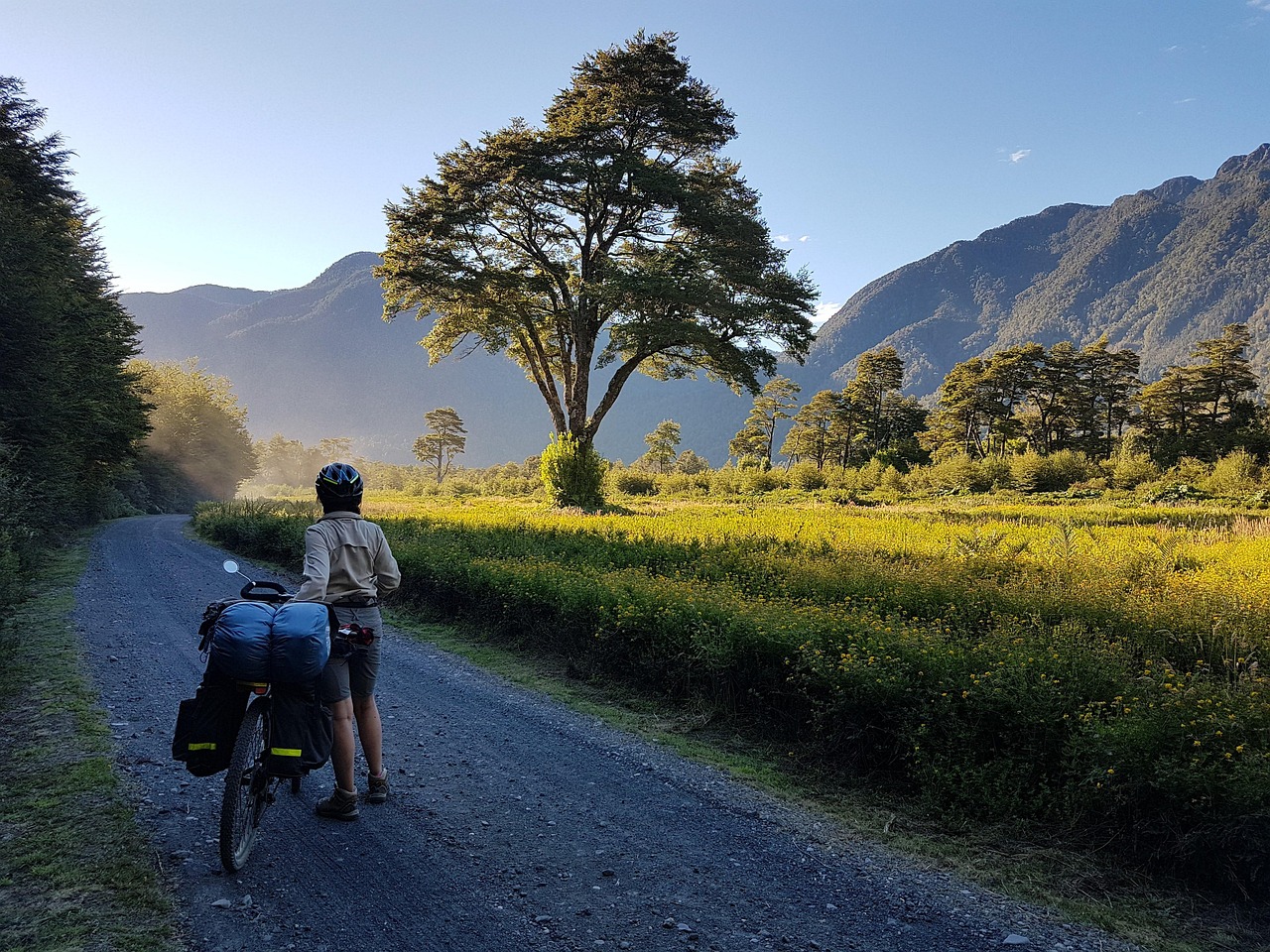 girl, bicycle, mountains, field, trees, meadow, road, path, mountain biking, biking, cycling, travel, landscape, nature, chile