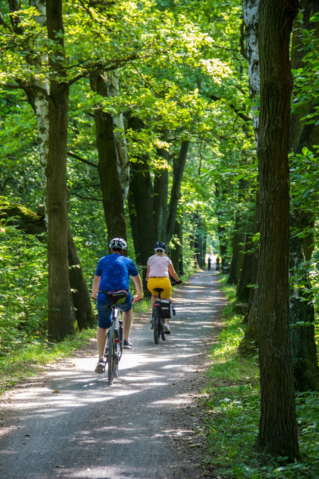 people-riding-bicycle-on-road-between-green-trees-during-daytime-hezxedomxoo